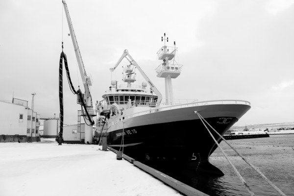 Sigurður VE 15 með sinn fyrsta loðnufarm