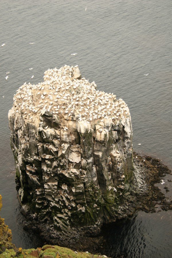 Opnun á Útsýnispallinum við Stóra Karl frestað