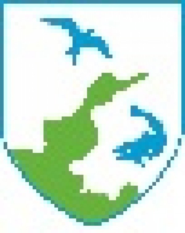 Fundargerð 91 fundar - aukafundar  á heimasíðuna