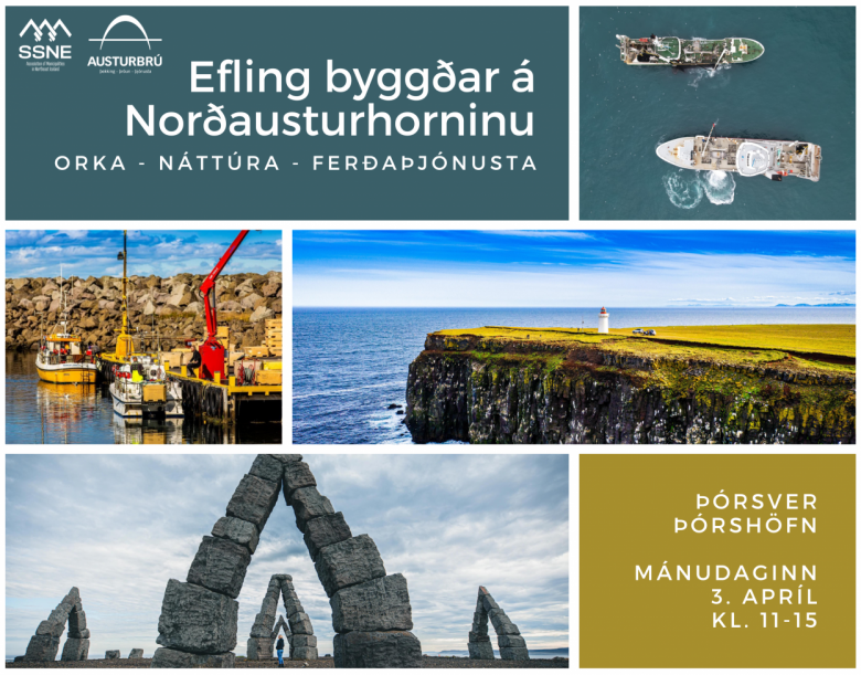 Málþing í Þórsveri