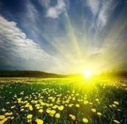 Sumarstörf í Þjónustumiðstöð Langanesbyggðar