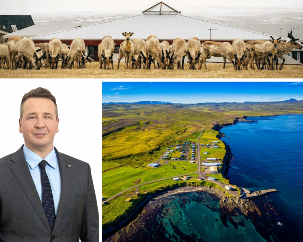 Samsett mynd frá SSNE