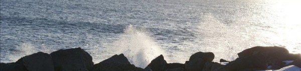 ábm. Halldóra Gunnarsdóttir