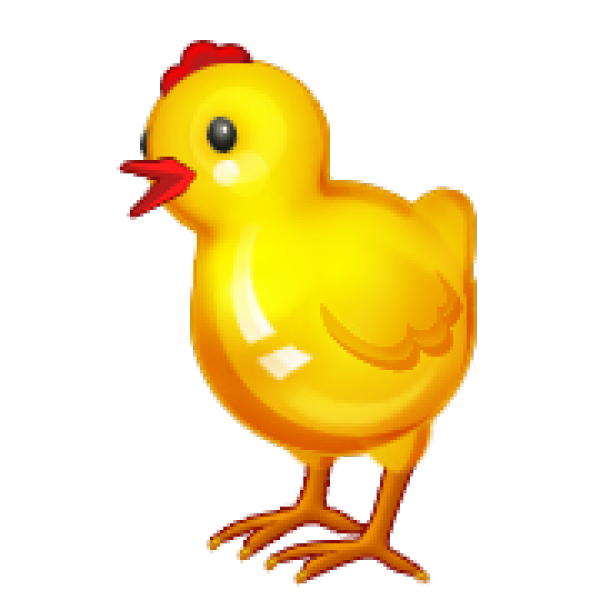 Páskabingó á Nausti