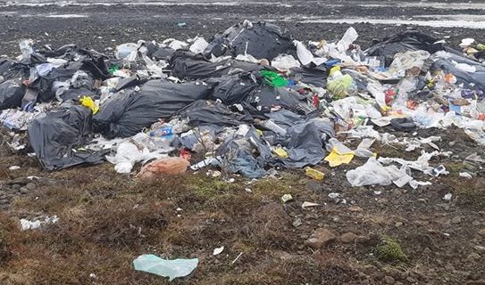 Hreinsunardagur fjölskyldunnar laugardaginn 18. maí