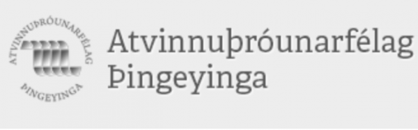 Ert þú leiðtogi?