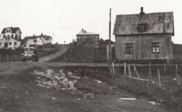 Hús vikunnar - Skógar