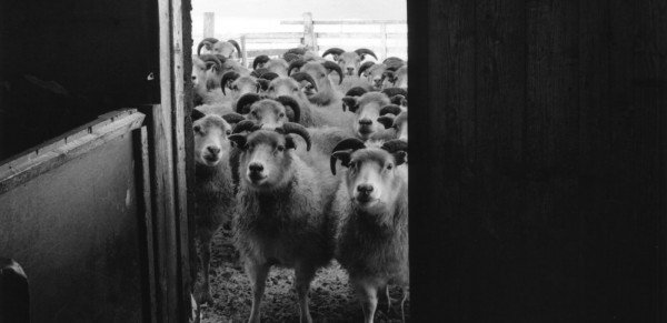 Steinholt - saga af uppruna nafna