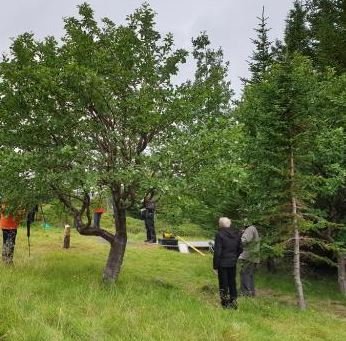 Aðalfundur Skógræktarfélags Þórshafnar