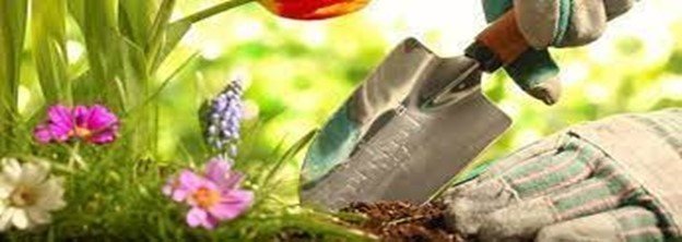 Við höfum opnað fyrir umsóknir í vinnuskólann fyrir sumarið 2022